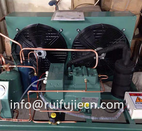 acheter Unité - unité de condensateur refroidie par air de Spb09kl Bitzer pour le modèle 4Tes-9y online manufacture