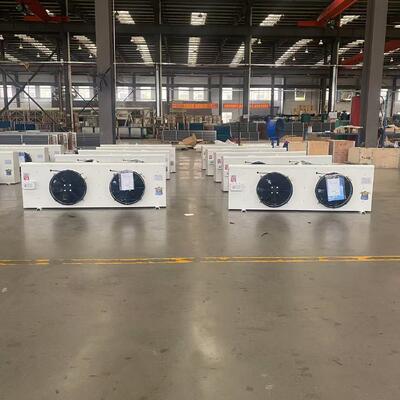 acheter DL30 6.5kW paroi montée à l'air froid évaporateur pour 30m2 de stockage au froid online manufacture