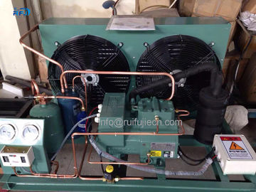 Type moyen type unité de condensation de la basse température V de logement de condensateur de compresseur de Bitzer