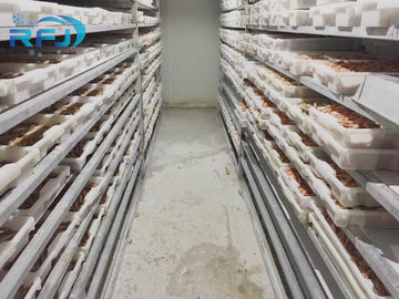 Petite promenade de souffle de plat de tunnel de thon frais dans le panneau froid de contact d'Iqf de fruits de mer industriels de congélateur
