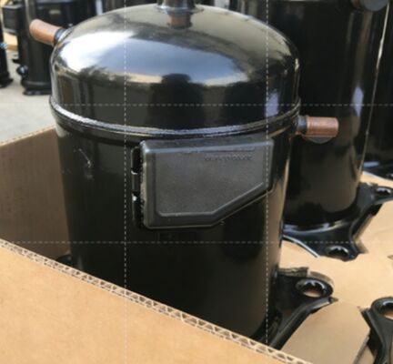 Nouveaux compresseurs originaux ZF49KQE-TFD-564 de réfrigération de basse température de Copeland