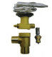Les valves thermostatiques de Danfoss d'expansion de réfrigération modèlent TE55 de laiton